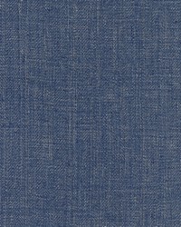 Hemsley Denim by  Roth and Tompkins Textiles 