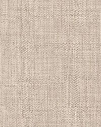 Hemsley Stucco by  Roth and Tompkins Textiles 