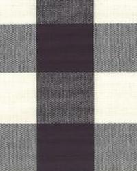 Lyme Charcoal by  Roth and Tompkins Textiles 
