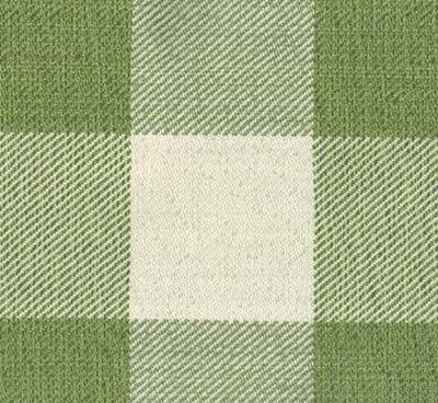 Roth and Tompkins Textiles Metro Check Kiwi Green Drapery Cotton Check Large Check Check 