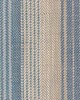 Roth and Tompkins Textiles Sonoma Stripe Denim