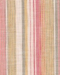 Sonoma Stripe Sunset Rose by   
