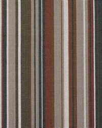 Victoria Earth by  Roth and Tompkins Textiles 