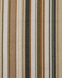 Victoria Sagegrass by  Roth and Tompkins Textiles 