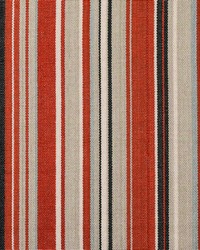 Victoria Sunset by  Roth and Tompkins Textiles 