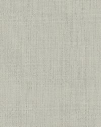 Zenith Aloe by  Roth and Tompkins Textiles 