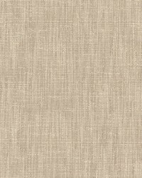 Zenith Chinchila by  Roth and Tompkins Textiles 