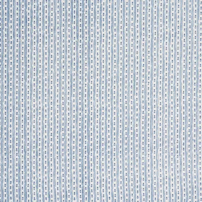 Schumacher Fabric Nidhi Stripe Hand-Print Sky