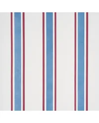 Hadwen Stripe Red & Blue by   