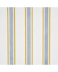 Hadwen Stripe Yellow & Blue by   