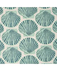 Scallop Shell Aqua by   