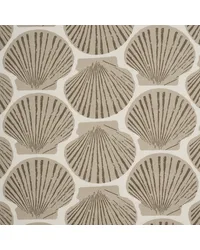 Scallop Shell Natural by   