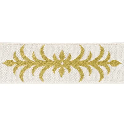 Schumacher Trim Acanthus Tape Ochre