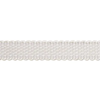 Schumacher Trim Frances Silk Gimp Grey