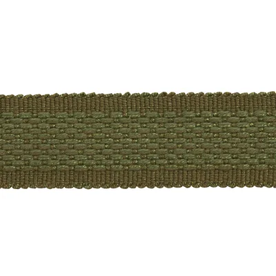 Schumacher Trim Cardiff Tape Medium Green