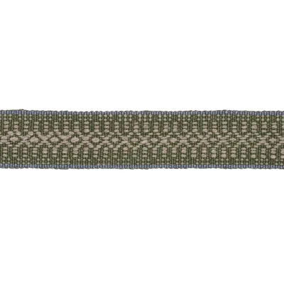 Schumacher Trim Helena Linen Cotton Tape Fern