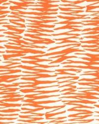 Zebra Print Orange by   