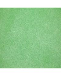 Soft Fur Solid Lime by  Shannon Fabrics 