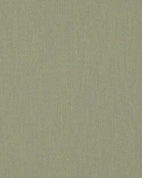 Sunbrella Canvas Almond by   