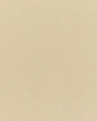 Sunbrella Canvas Beige by   