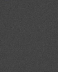 Sunbrella Canvas Carbon by   