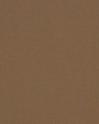 Sunbrella Canvas Cocoa by   