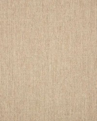 Sunbrella Canvas Fawn by   