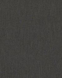 Sunbrella Canvas Flanelle by   