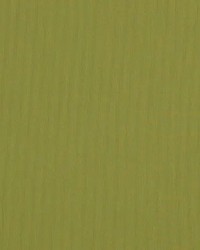 Sunbrella Canvas Lichen by   