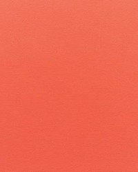 Sunbrella Canvas Melon by   