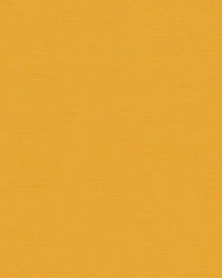 Sunbrella Canvas Mimosa by   