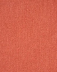 Sunbrella Canvas Persimmon by   