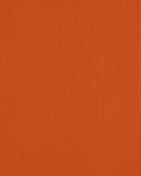 Sunbrella Canvas Pumpkin by   