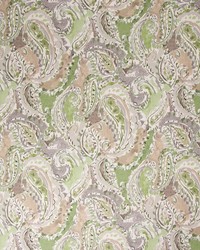 Carlisia Pistachio by   