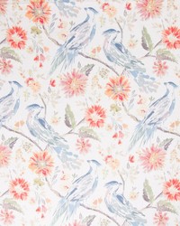 Chambalon Garden Party by  Swavelle-Millcreek 