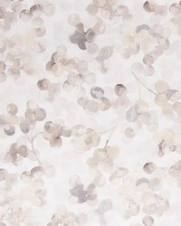 Color Forward Cloud by   