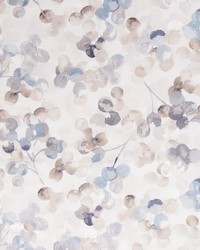 Color Forward Powder by   