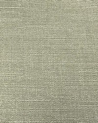 Cunningham Evergreen by  Swavelle-Millcreek 