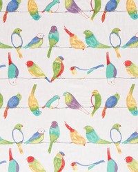 Flying Colors Jubilee by  TFA 