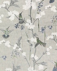 Hummingbird Garden Frost by   