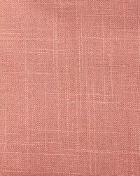 Old Country Linen Rose by   