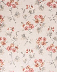 Oleander Rosewood by   