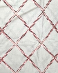 Pathfinder Primrose by   