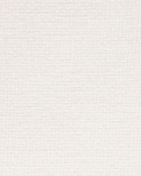 Supple Porcelain by  Swavelle-Millcreek 