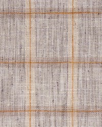 Track Record Graphite by  Swavelle-Millcreek 