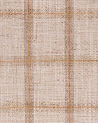 Track Record Honey by  Swavelle-Millcreek 