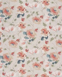 Whitehaven Antique Rose by   