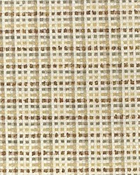 Argle Bargle Maize by  TFA 