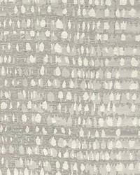 Big Shot Dove by  TFA 