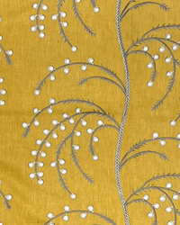 Deepa Mustard Seed by  TFA 